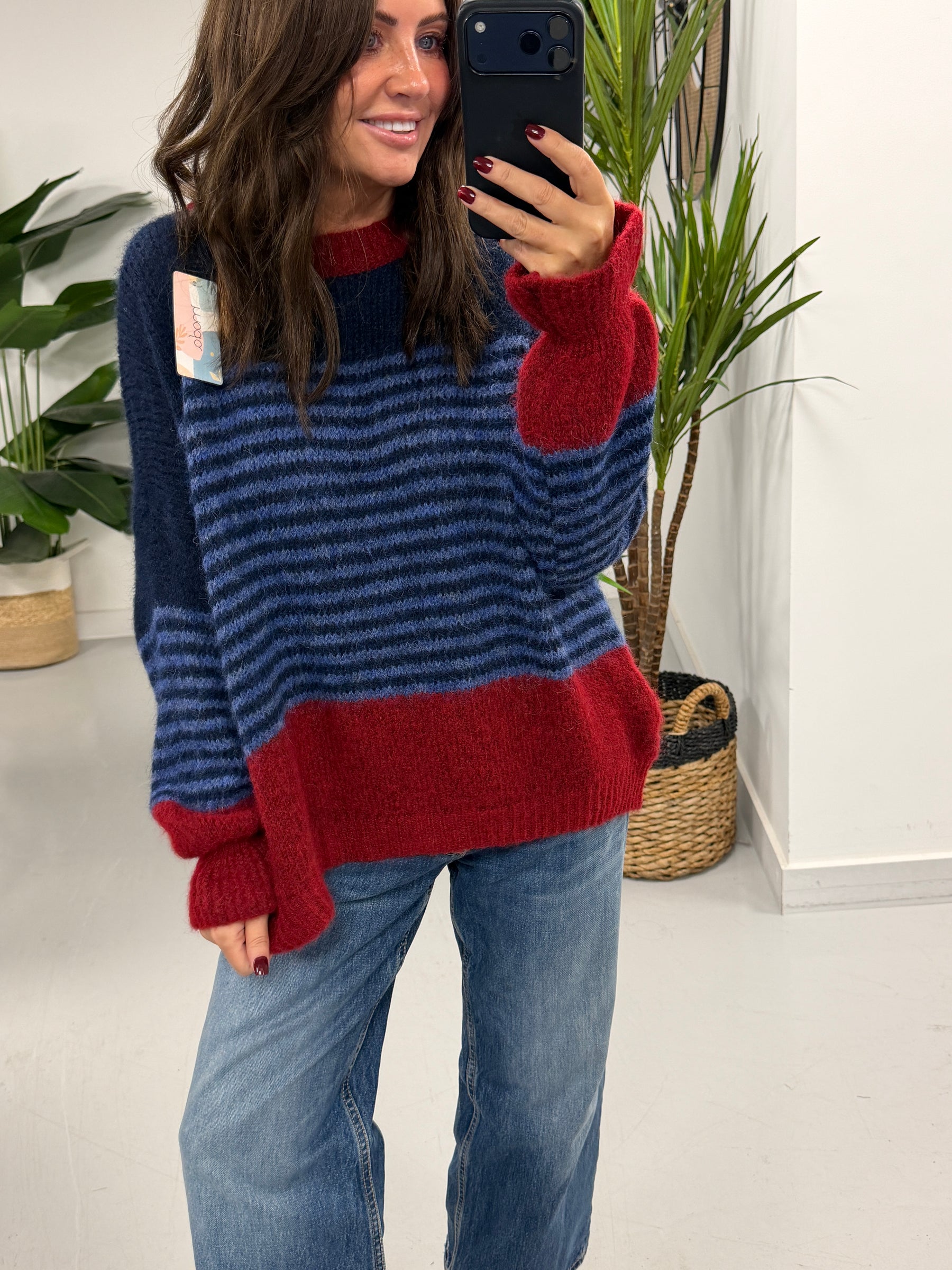 Rustic Stripe Knit Jumper  - Blue/Red (10-18)