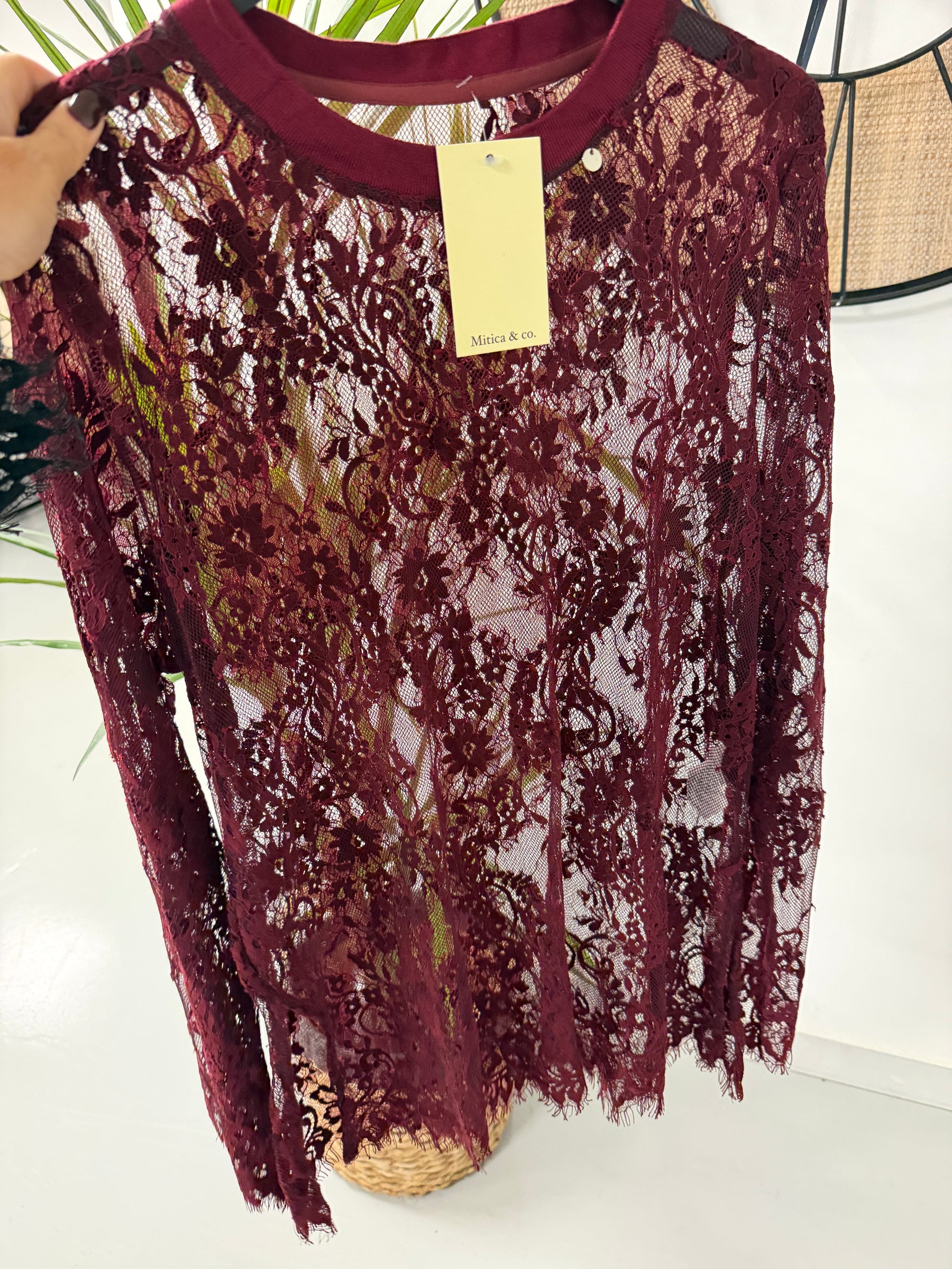 The Lexi Lace Mesh - Wine (Size 10-16)