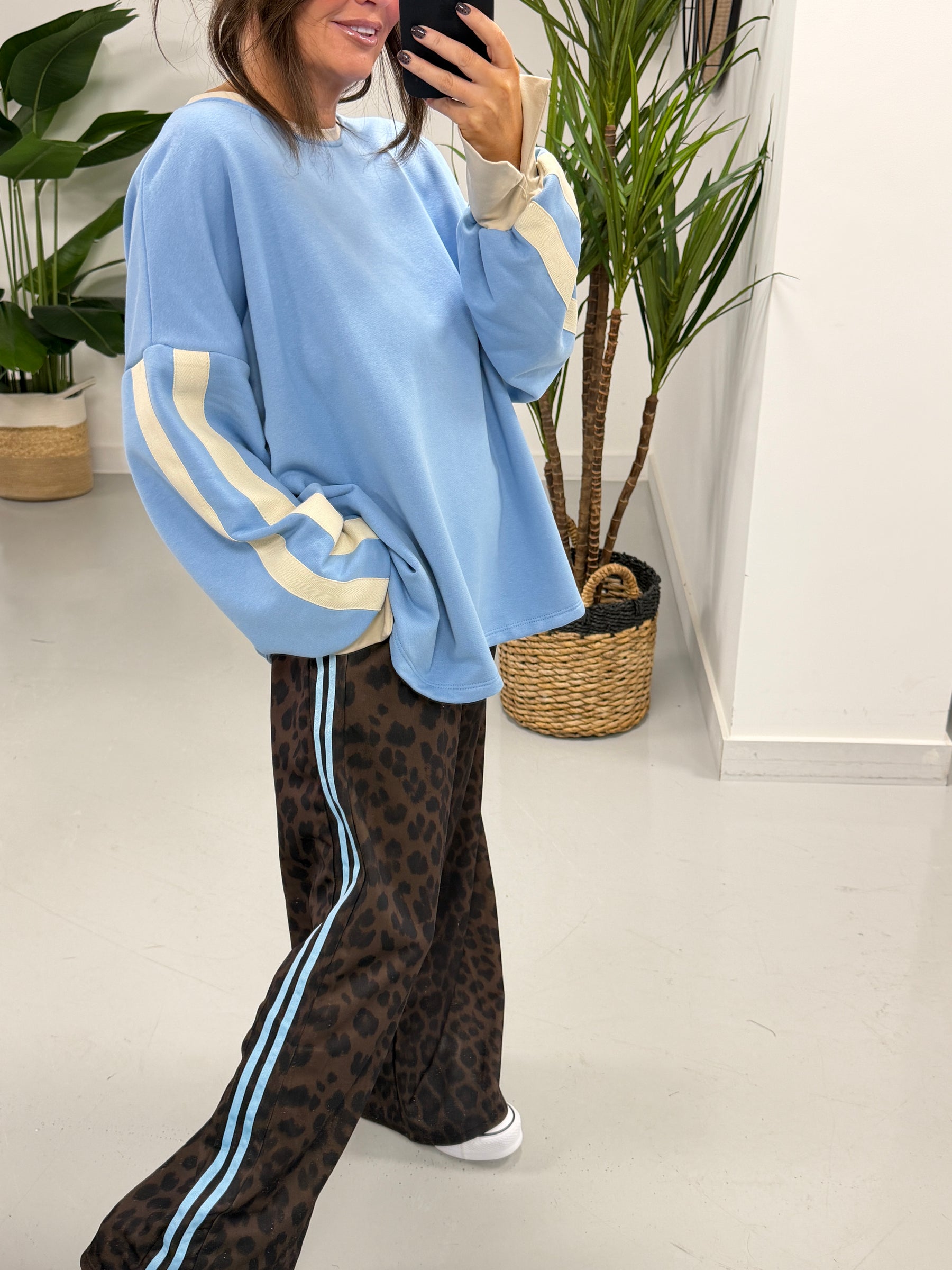 Animal Stripe Jogger - Blue Stripe