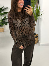 The Cheetah  Mesh - Chocolate (Size 10-16)