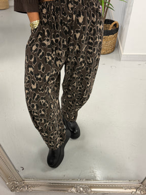 The Animal Needlecord Joggers - Chocolate (Size 10-18)