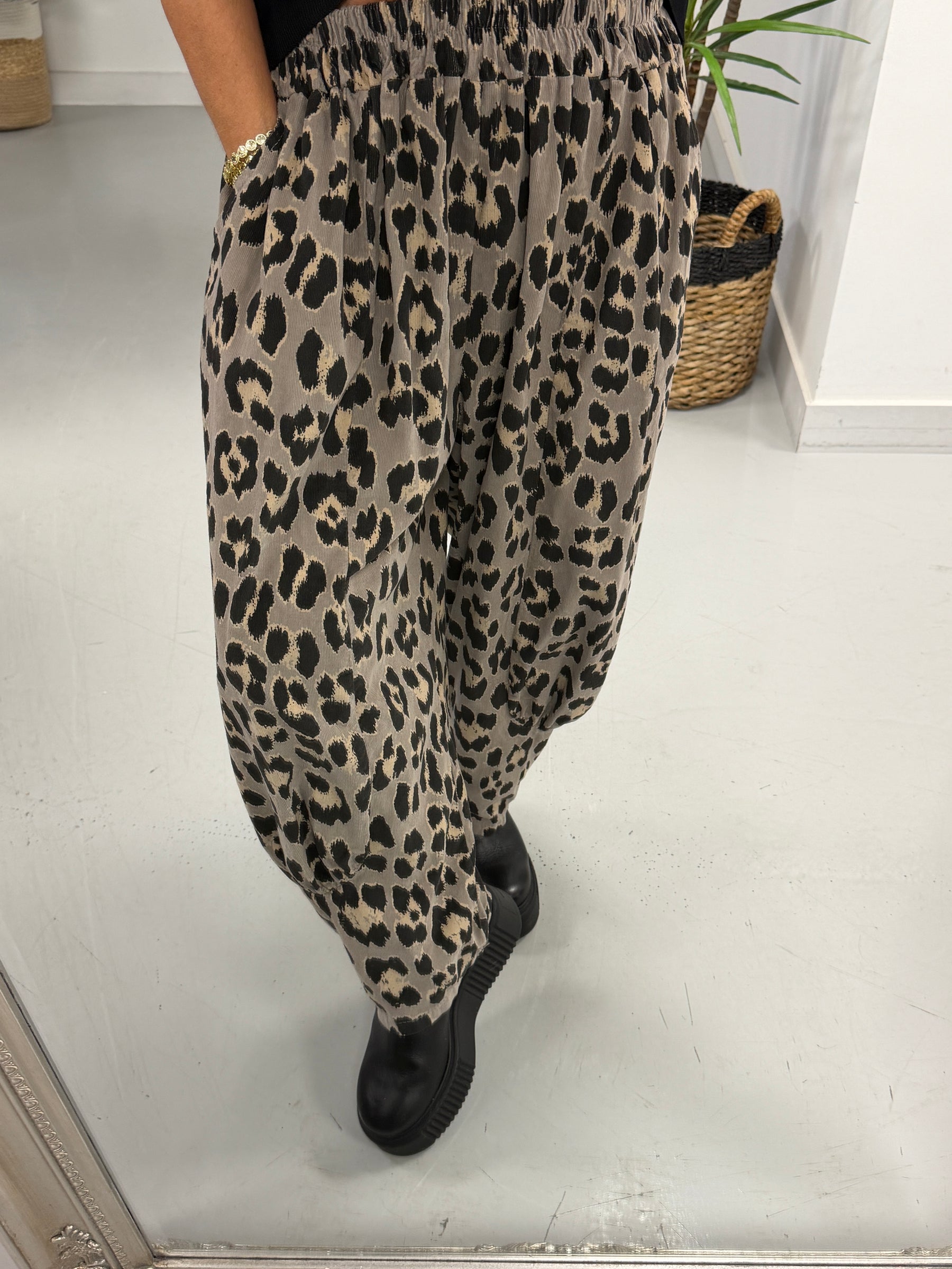 The Animal Needlecord Joggers - Stone (Size 10-18)